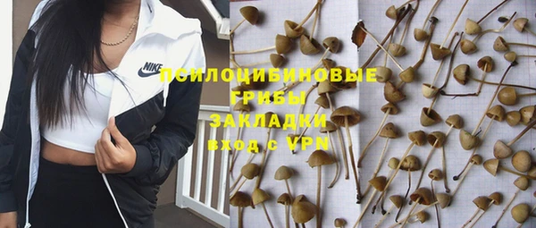 ГАЛЛЮЦИНОГЕННЫЕ ГРИБЫ Володарск