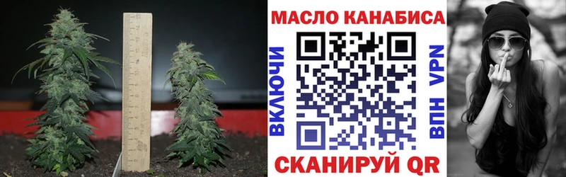купить закладку  Чёрмоз  дарк нет состав  ТГК концентрат 