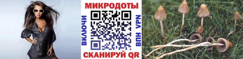 Галлюциногенные грибы мухоморы  hydra ссылка  Чёрмоз 